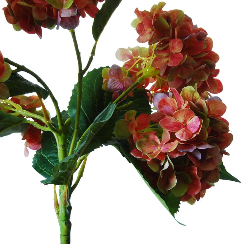 flowerdutchess FlowerDutchess hydrangea tak met 5 hortensia bloemen 60 cm mauve groen detail 6