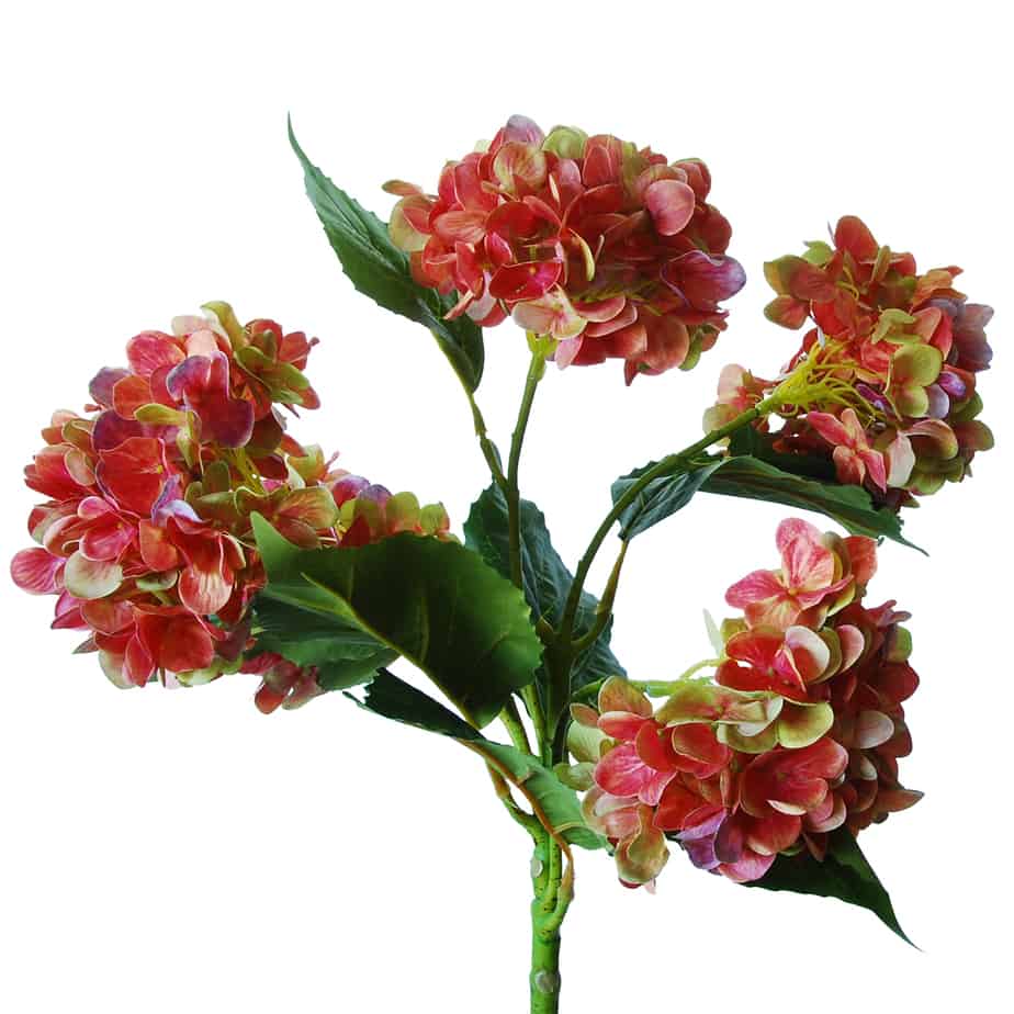 flowerdutchess hydrangea tak met 5 hortensia bloemen 60 cm mauve groen detail 2