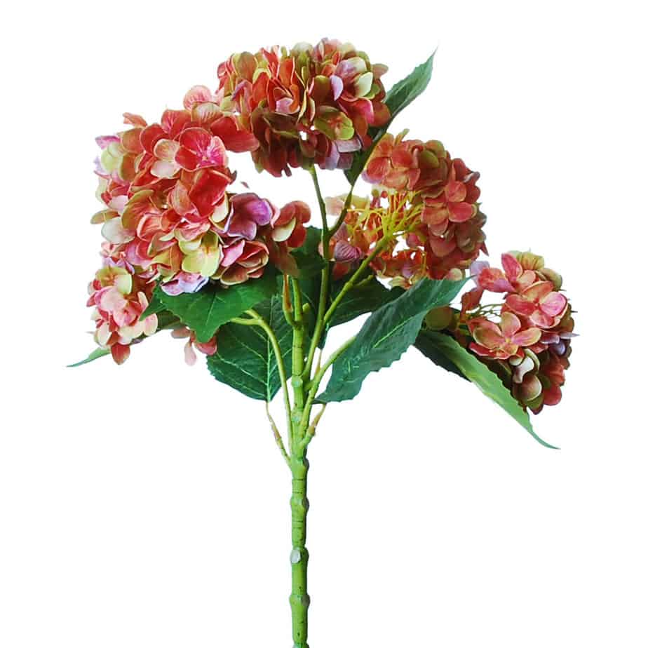 FlowerDutchess hydrangea tak met 5 hortensia bloemen 60 cm mauve groen