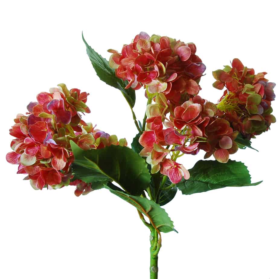 Flowerdutchess hydrangea tak met 5 hortensia bloemen 60 cm mauve groen detail 3