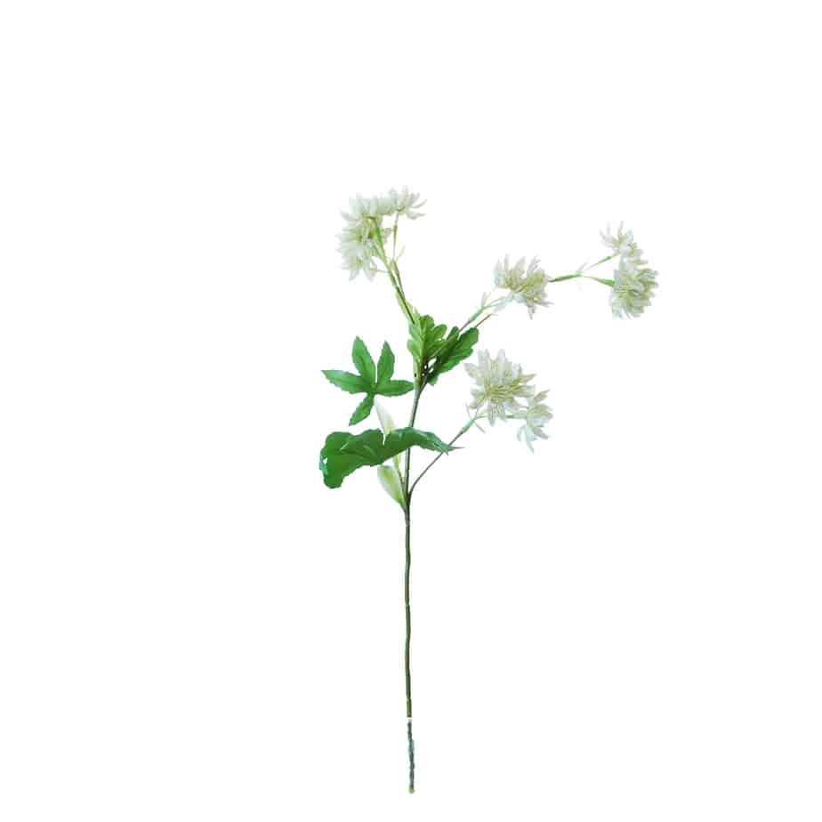 FlowerDutchess Zeeuws knoopje 51cm wit 4