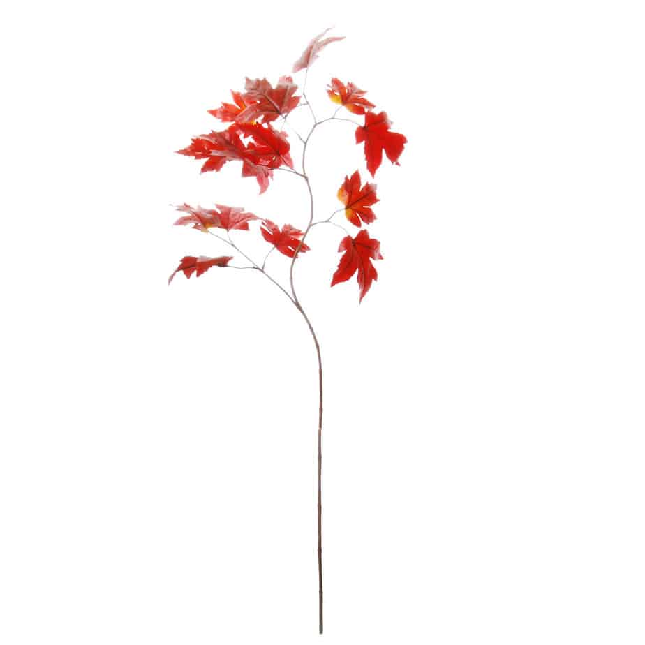 Esdoorn tak 110cm bordeaux 4