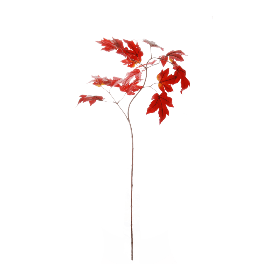 Esdoorn tak 110cm bordeaux 5