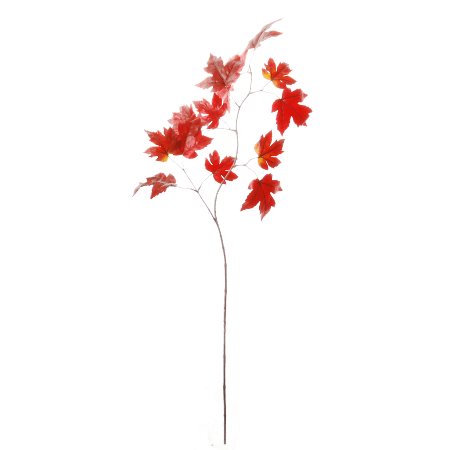 Esdoorn tak 110cm bordeaux