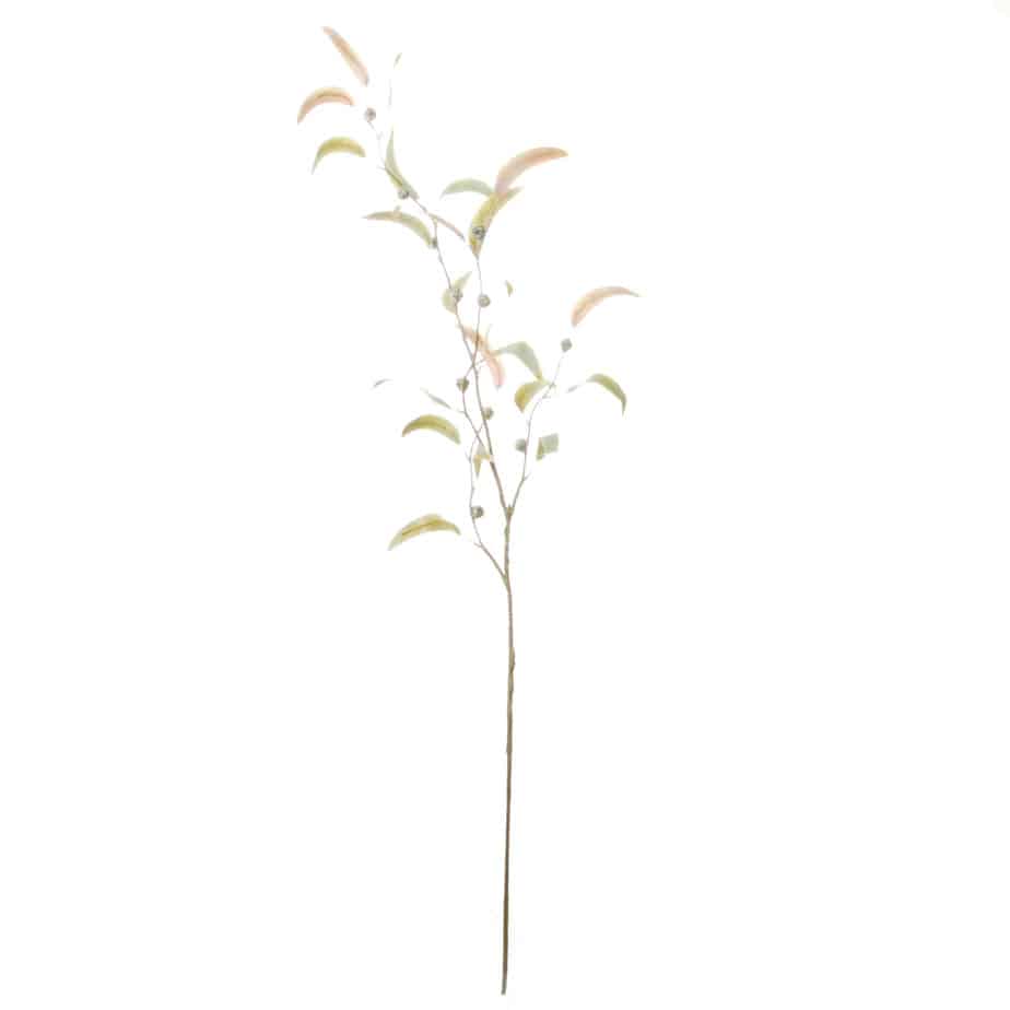 Eucalyptus infructescence 100cm groen 4