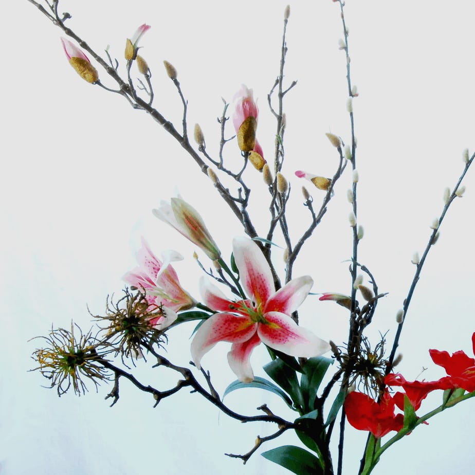 FlowerDutchess vroeg lente 5 3