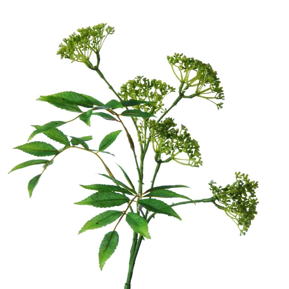 FlowerDutchess tak met sering achtige knopjes 108cm groen 5