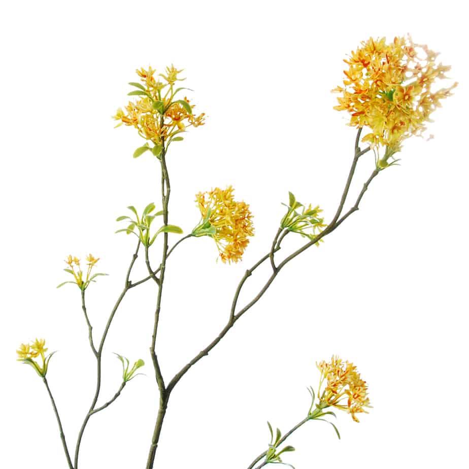 Bouvardia 107cm geel 4