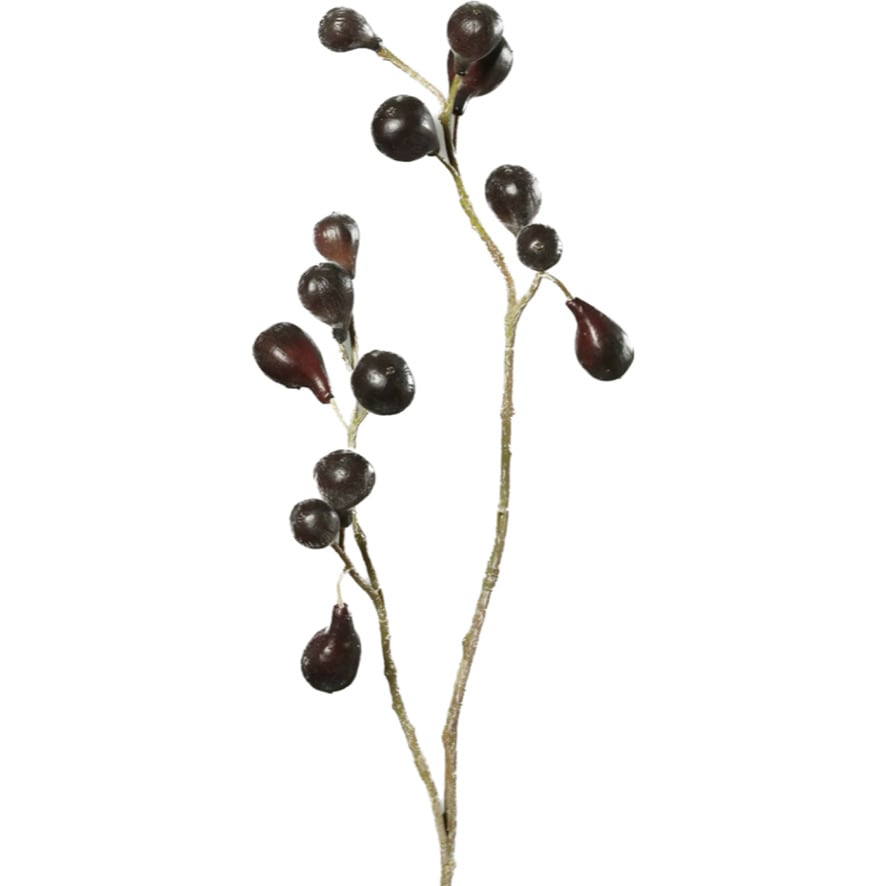 Een super mooie kunst tak met vijgen fan FlowerDutchess