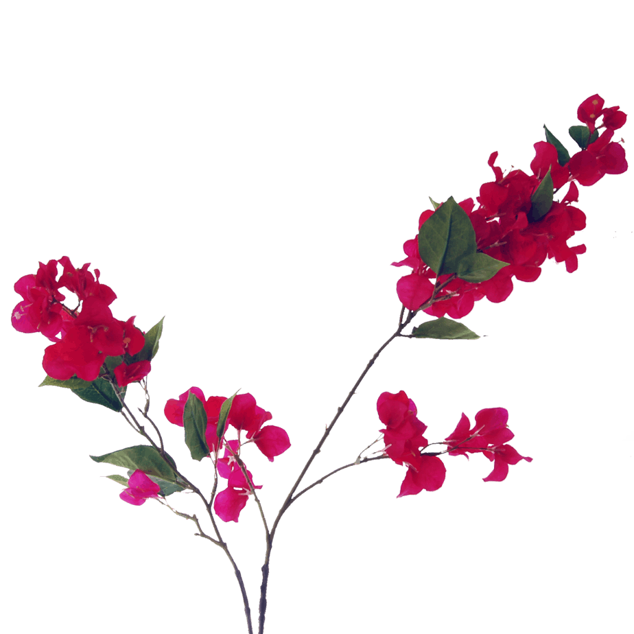 FlowerDutchess Bougainville 120cm fuchsia roze detail 2 edited 1