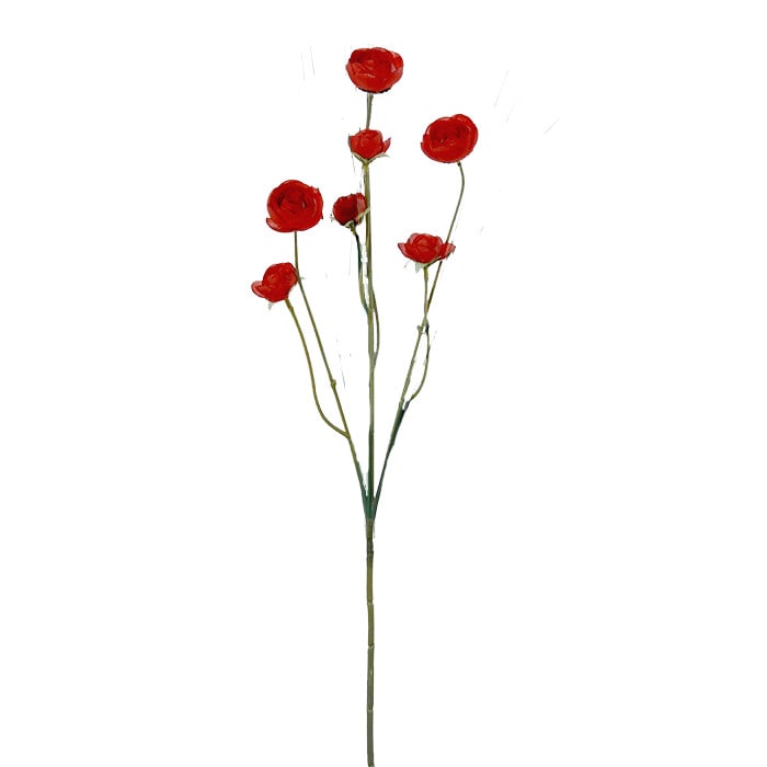 Ranonkeltjes 7 55cm rood