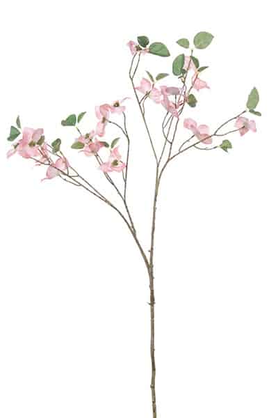FlowerDutchess Dogwood 120cm roze