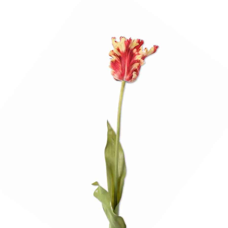 FlowerDutchess kunstbloem parkiettulp rood oranje geel 71cm