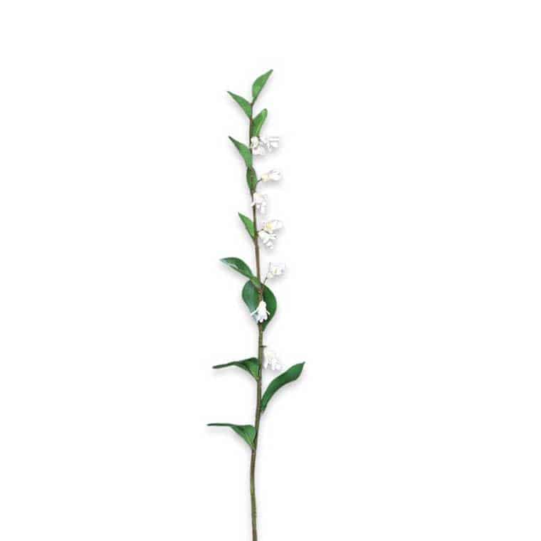 FlowerDutchess kunst bloemen Salomonszegel 86cm wit