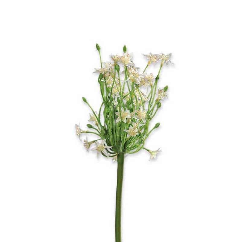 FlowerDutchess kunstbloemen agapanthus 70cm white