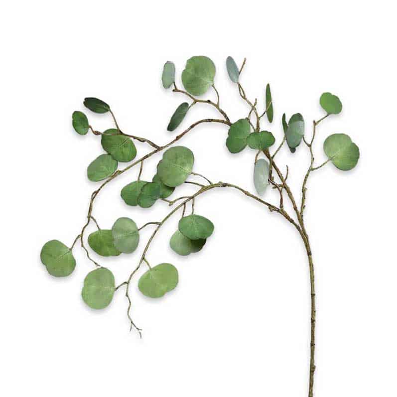 FlowerDutchess kunstbloemen kunsttakken Silver Dollar Eucalyptus 108cm groen