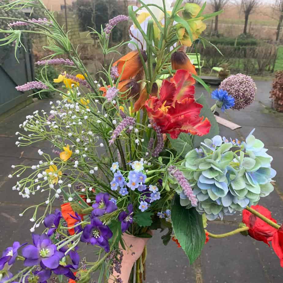 FlowerDutchess oude meester 2
