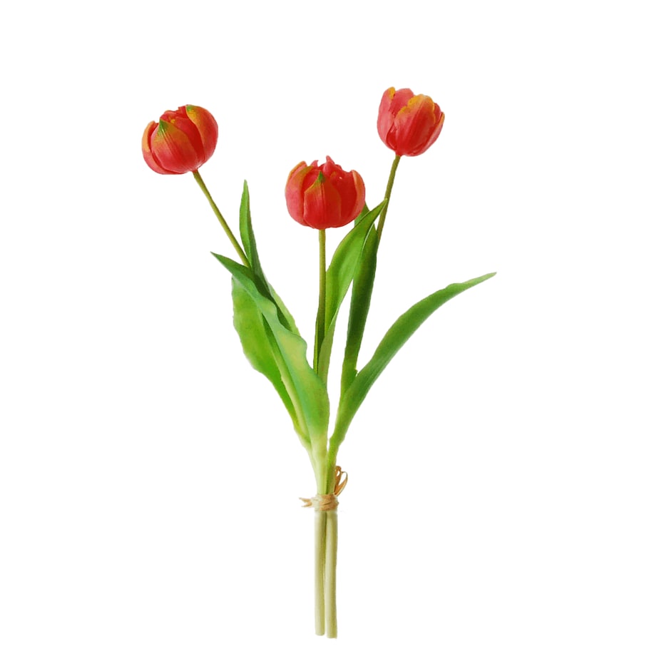 Peony tulip bundle 3 fuchsia 39cm tall