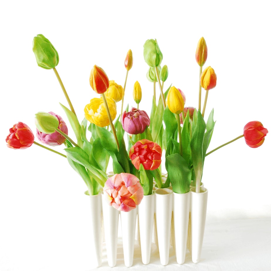 colourful bunch tulips wieringen