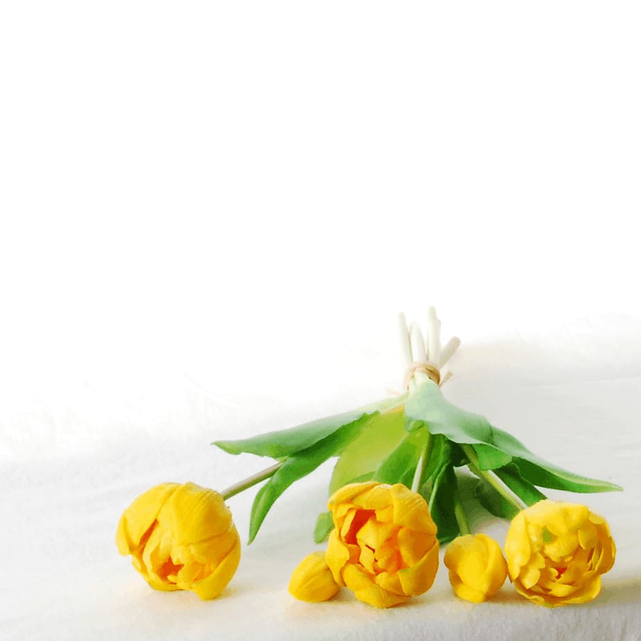 Peony tulip bundle 5 yellow 37cm detail edited 2