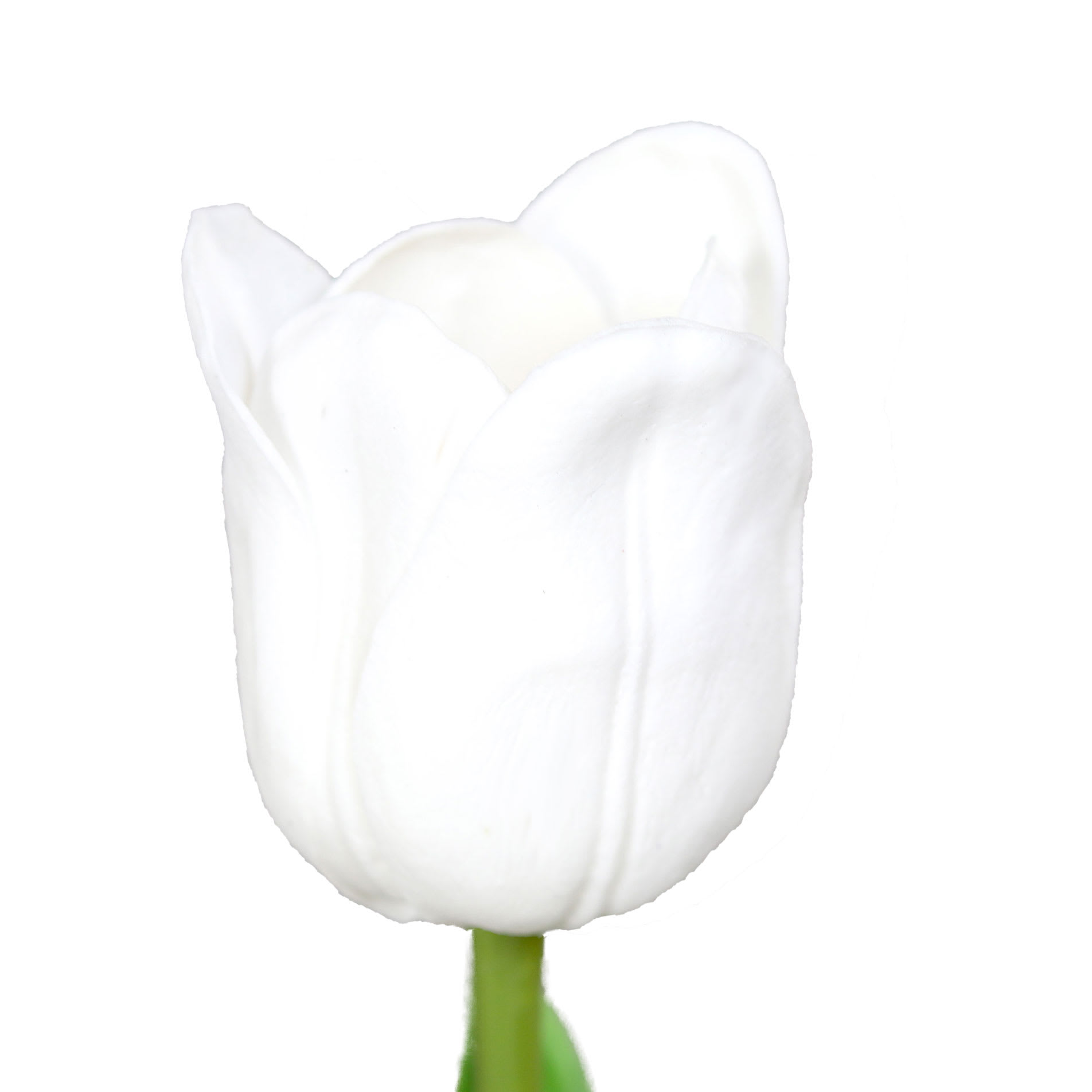 Kleurrijk Foam Tulpenboeket #201 | 70 cm | tulpen in alle kleuren - Afbeelding 6