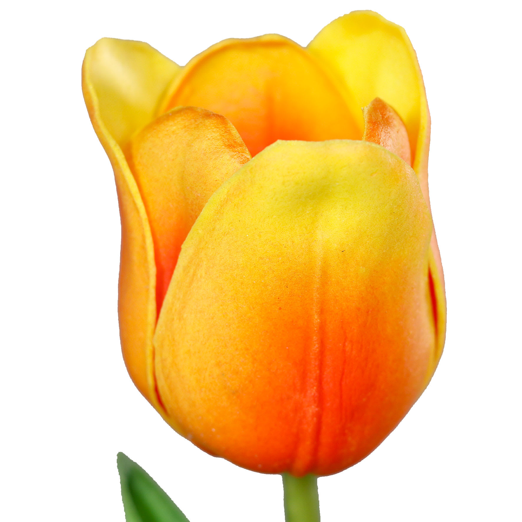 Kleurrijk Foam Tulpenboeket #201 | 70 cm | tulpen in alle kleuren - Afbeelding 9