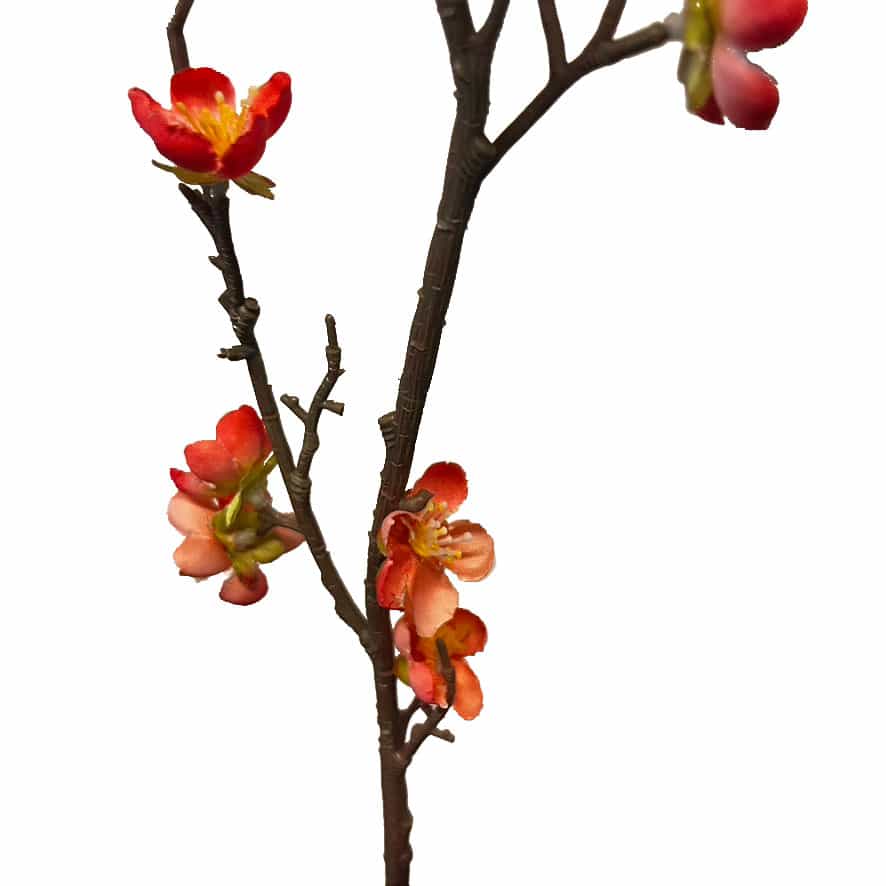 Kersen Bloesem takje | 50 cm | zalm - Afbeelding 6