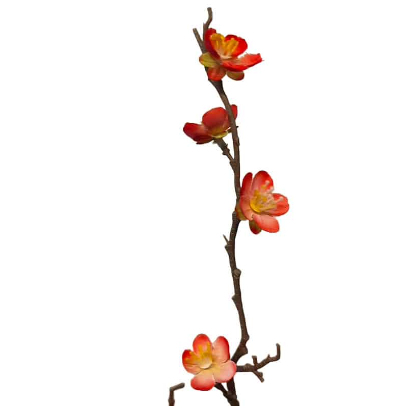 Kersen Bloesem takje | 50 cm | zalm - Afbeelding 5