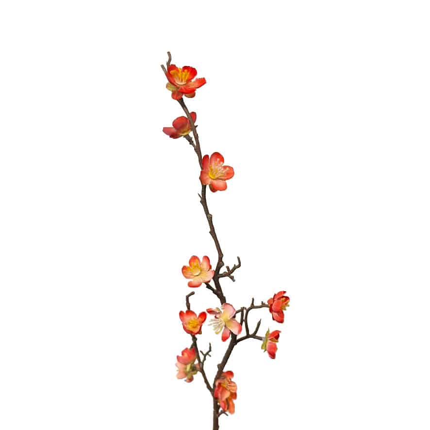 Kersen Bloesem takje | 50 cm | zalm - Afbeelding 2