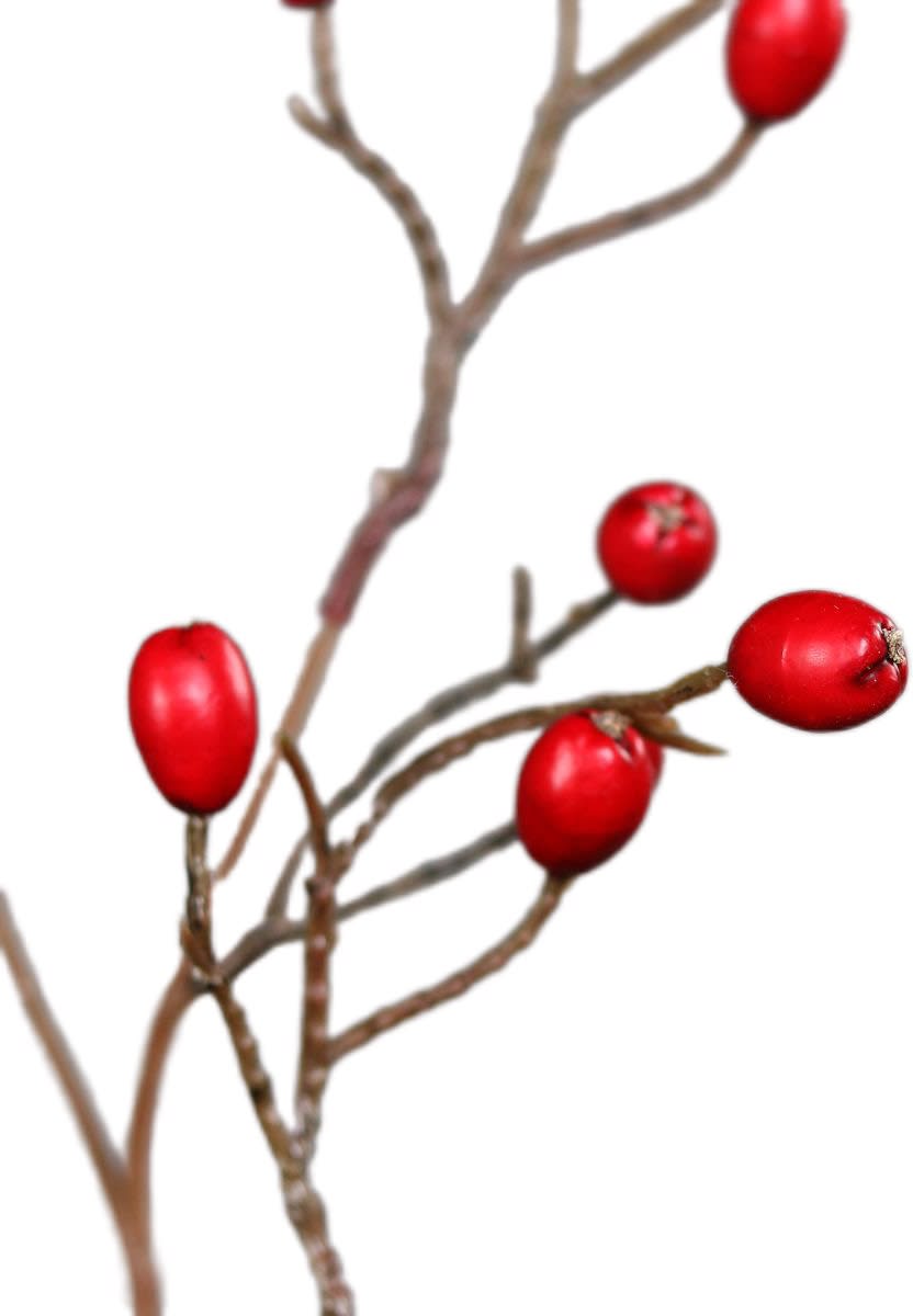 Rozenbottel tak | 83 cm | rood - Afbeelding 3