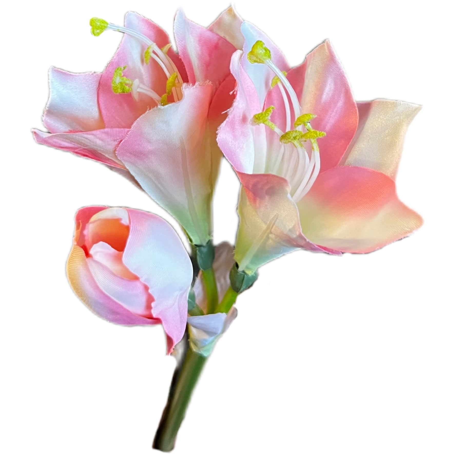 Amaryllis | 44cm | roze - Afbeelding 3