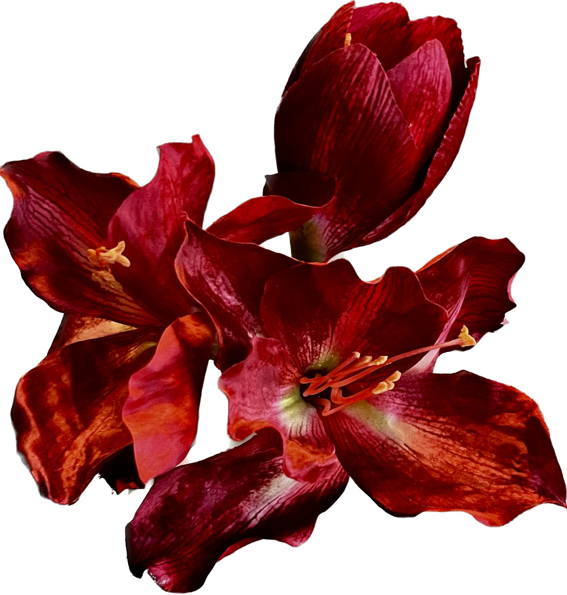 kunstbloem-Amaryllis-rood-80cm-zijdemix-flowerdutchess-2