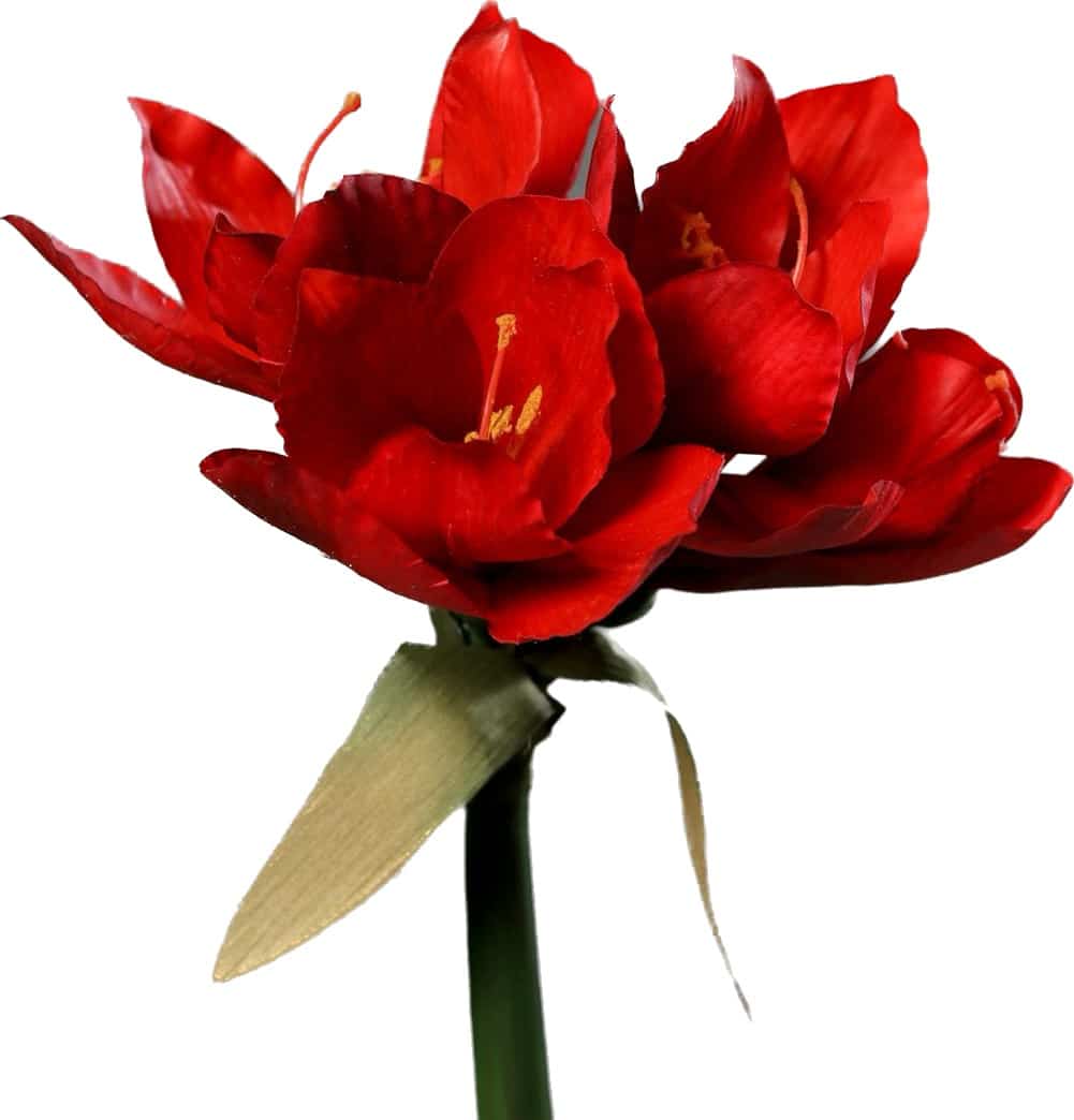 kunstbloem-Amaryllis-rood-30cm-real-touch-flowerdutchess