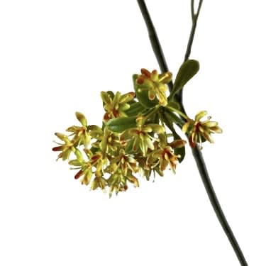 Bouvardia | 107 cm | geel oranje - Afbeelding 2