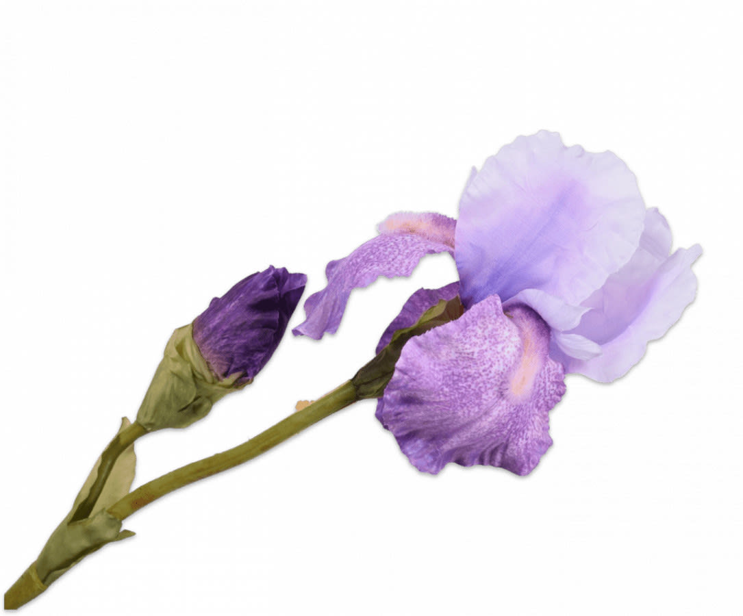 FlowerDutchess zijden bloemen Iris 85cm lila paars 1