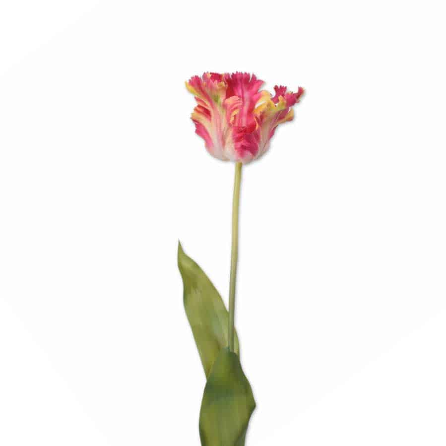 FlowerDutchess real touch parkiet tulp 71cm roze geel
