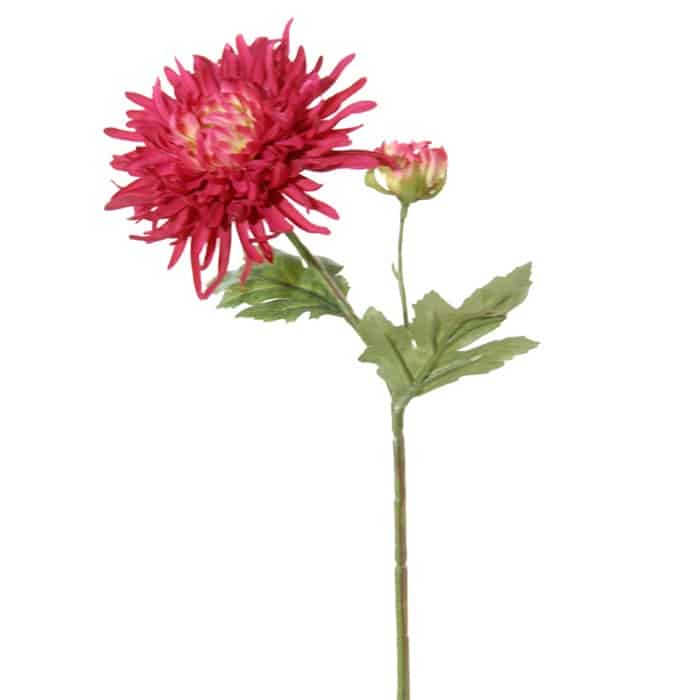 FlowerDutchess Chrysant 36cm cerise