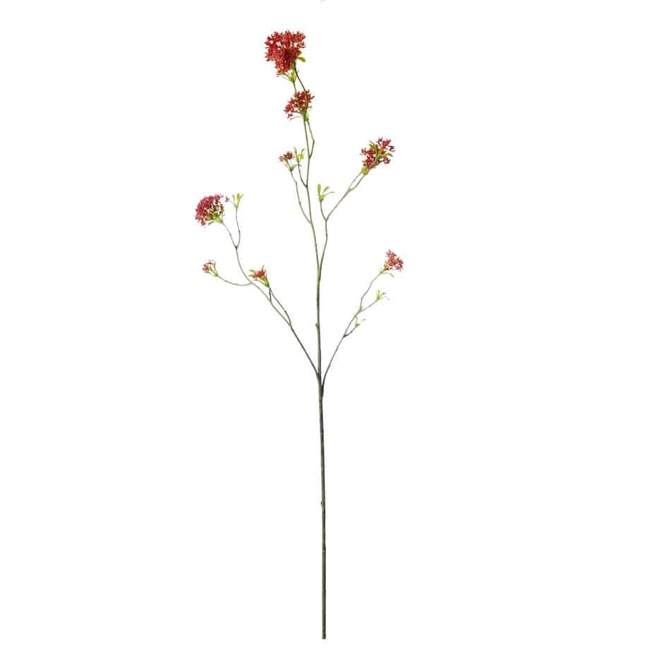 Bouvardia 107cm roze 3 scaled