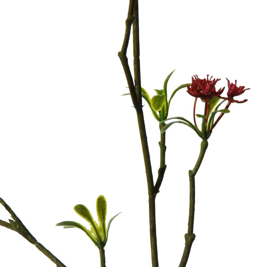 Bouvardia 107cm roze 6
