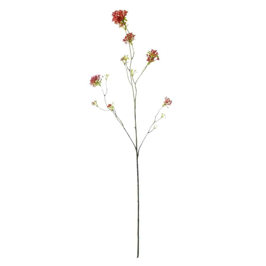 Bouvardia 107cm roze 2