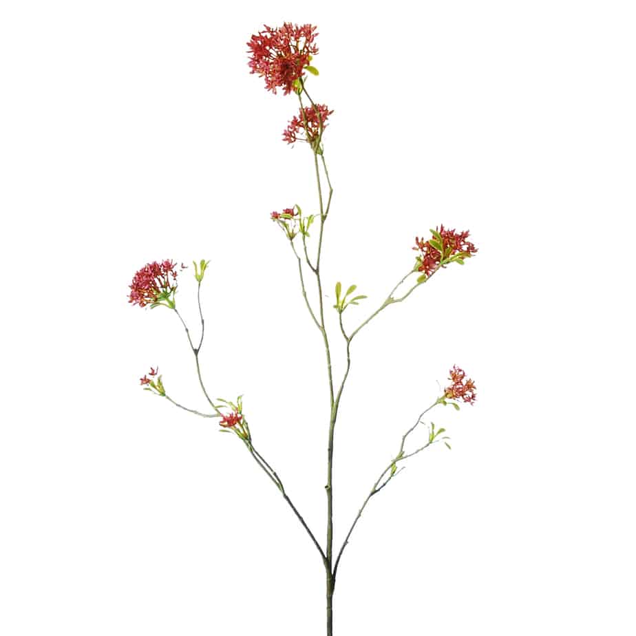 Bouvardia 107cm roze 5