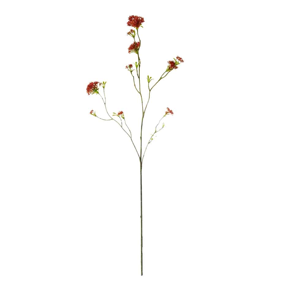 Bouvardia 107cm roze 1