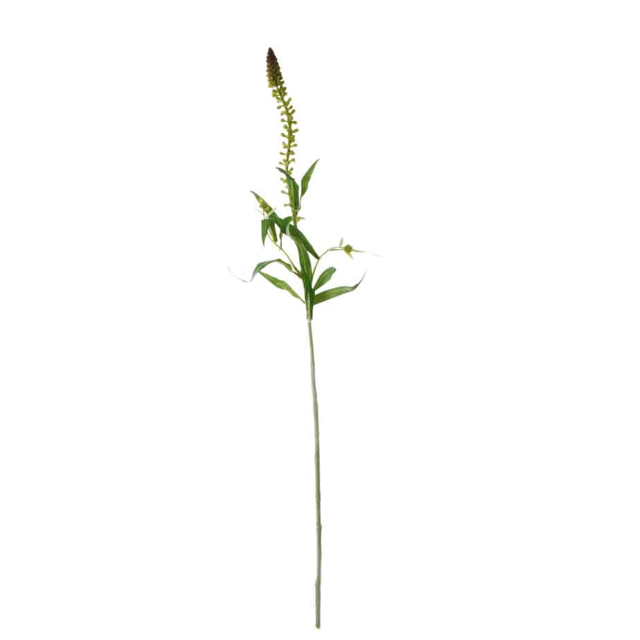 FlowerDutchess Wederik 70cm groen