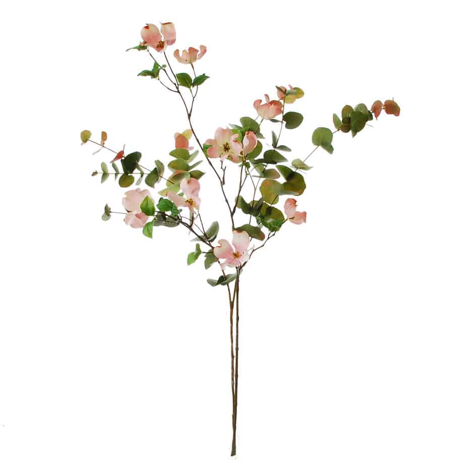 FlowerDutchess Kornoeljetak eucalyptus 2