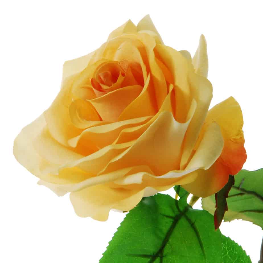 FlowerDutchess Rozen tak 90cm geel detail 4