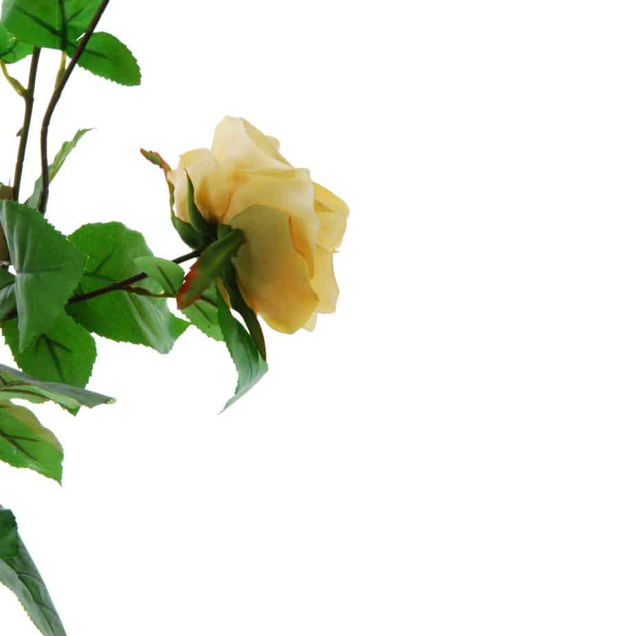 FlowerDutchess Rozen tak 90cm geel detail 5