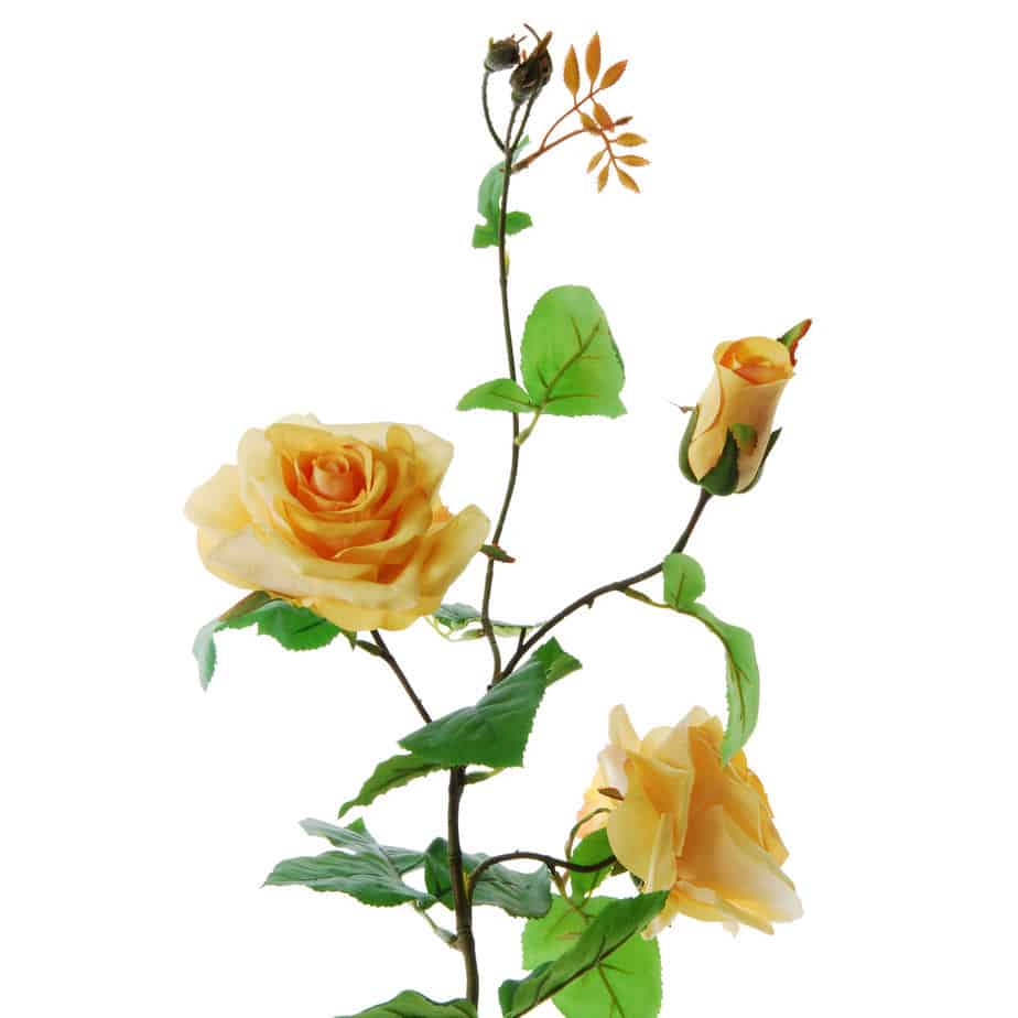 FlowerDutchess Rozen tak 90cm geel detail 2