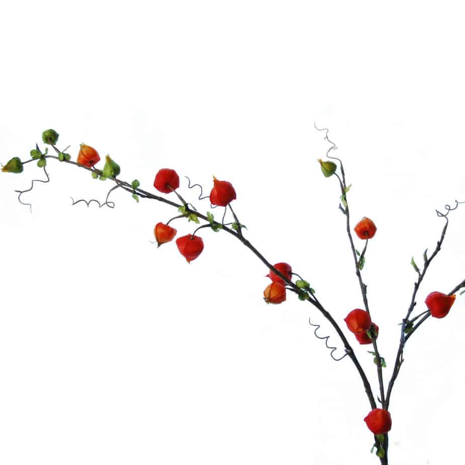 FlowerDutchess Lampion 120cm 3