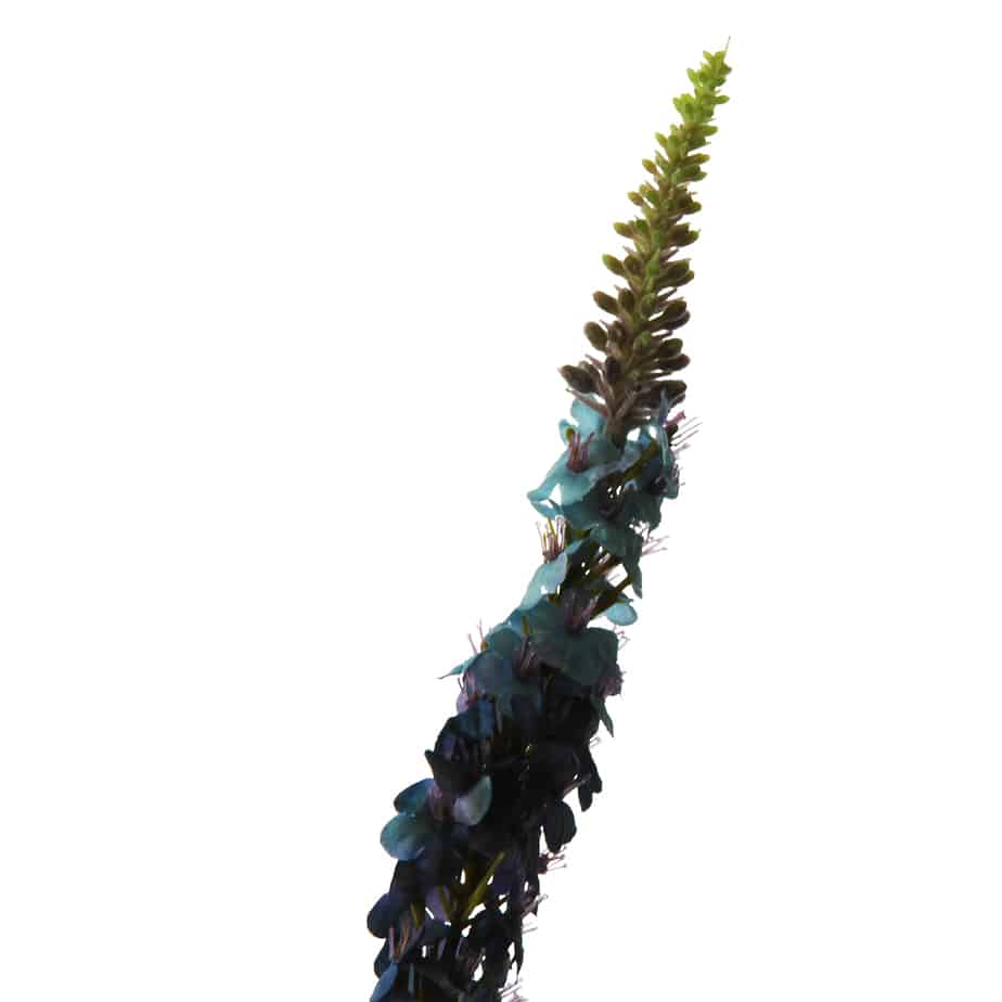 Veronica 76cm blue 1