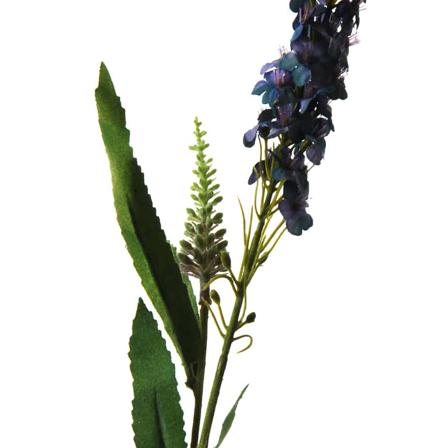 Veronica 76cm blue 2